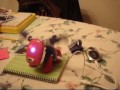 Nadia's iDog