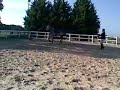 good lunge and transition into canter :)