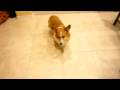Panasonic DMC-FX33 Test