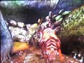 TRU crazy tiger magic glitches =)