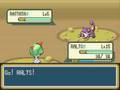 Shiny Gold: Trick House/Dark Cave