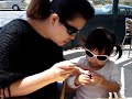 ボール猫動画