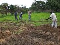 Zambian Gardening
