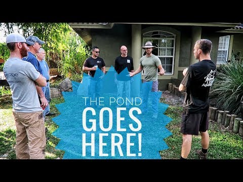 YouTube reptile video