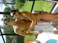 videos de just take the dam pic!