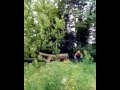 CLEE TREE SERVICES big tree fell part2