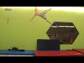 Acrobat Trampoline Trainning