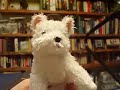 Stuffy reads Julius Caesar