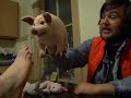 Wacky Blasters Episode #7