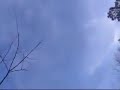 EPP aerocat EPP aerocat