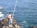 pesca en las costas de tenerife pesca en las costas de tenerife