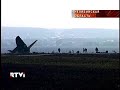 Крушение самолета в Челябинской области
