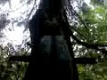 Zip Line Adventure - Irfan Zip Line Adventure - Irfan