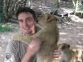 Lion Cubs hugs