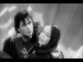 Smallville Clana- You Could Be Happy