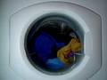 hotpoint wt960 overfill cooldown washable wool