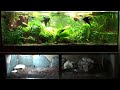 aquarium kombi 150cm breit