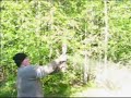 Paintball 