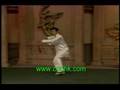 Chen ZhengLei Tai chi Sword KF1-3