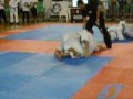 Felipe Tadeu - IX Intenacional de Jiu Jitsu