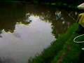Arthur (Tutu) Ligocki pescando uma Matrinchã em Pinhal -
