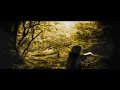 a one man music project filmed in the forests of magoebaskloof by jaco coetzee  (pjamdji)