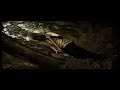 a one man music project filmed in the forests of magoebaskloof by jaco coetzee  (pjamdji)