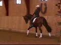 Richman is a 9 year old, fully-licensed Danish Warmblood stallion currently competing dressage at the Intermediare I level. He is KWPN born and registered and absolutely gorgeous. Shawna Harding's client purchased and imported Richman in December 2007. He will train and compete with Shawna for the 2008 season and is available for breeding.This video of Shawna riding Richman was taken in Denmark in November 2007. More videos will be posted soon.For more information, visit www.shawnaharding.com/horses.