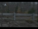 All I Need Friends montage
