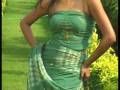 Multicolour Pure Georgette Saree with Blouse
