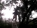 OCELOT Home Improvements- Big Cat TV