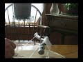 Paperclip Trebuchet Paperclip Trebuchet