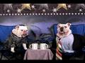 The Omen 2006  Dogs At The Movies  Episode 7