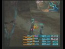 final fantasy 12 flowerring cactoid hunt