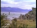 Click here to watch this video Mono Lake Bigfoot Footage (slowmotion)