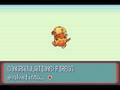 Pokemon Quartz - FIREGG evloves