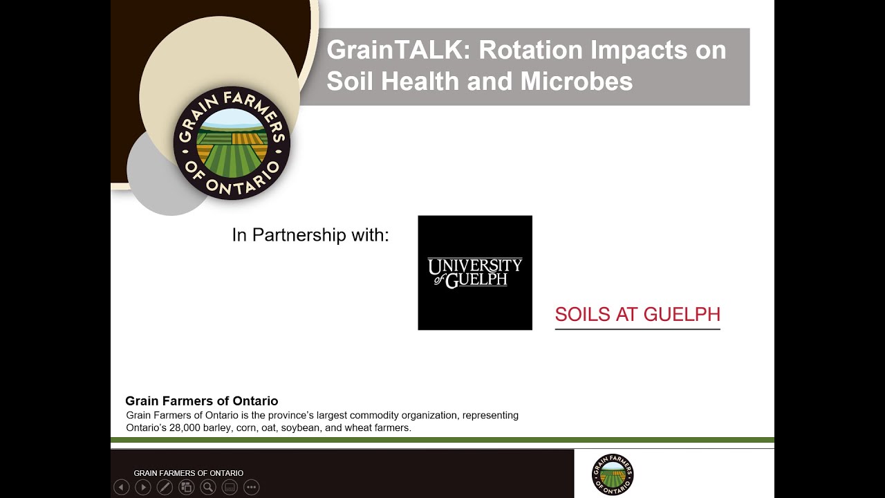 GrainTALK: Rotation Impacts on Soil Health and Microbes