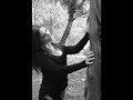 a video i made with song and pictures of italian dreamful black metal band streben. the song's called 