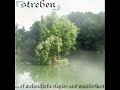 a video i made with song and pictures of italian dreamful black metal band streben. the song's called 