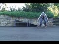 new tricks