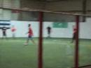 Pet Pals Animal Doctors FC