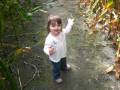 videos de Korny Korners