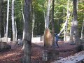 2008 10 12 Paintball Kaiserslautern Part 3
