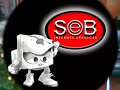 SEB Internet Video SEB Internet Video