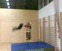 Luki Backflip Schiwoche Luki Backflip Schiwoche