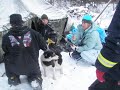 Dog Rescue