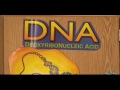East High School - Bioinformatics