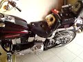 Harley Davidson Softail Custom 1990 (HU)