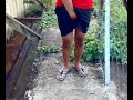 Jackass Bintulu