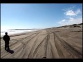 flaco piraña volador